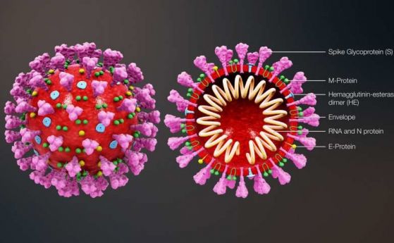 Ще спре ли по-топлото време разпространението на коронавируса?