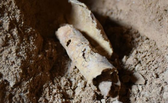 Цяла колекция от свитъците от Мъртво море се оказаха фалшиви