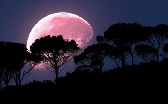 Вижте супер розовата Луна, най-голямата и най-ярката пълна Луна за 2020 година