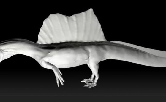 Вкаменелост от опашка доказва, че теропод е бил първият известен плуващ динозавър (видео)