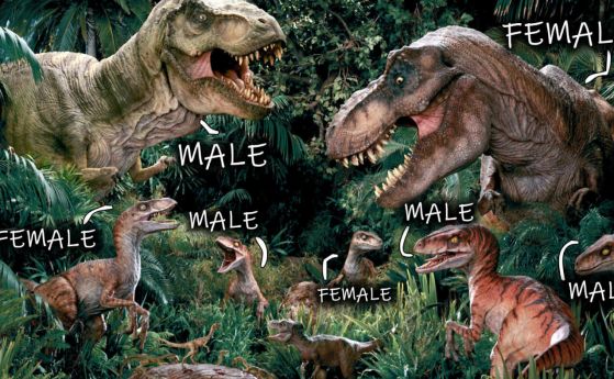 Как да различим мъжките от женските динозаври? Учените казват, че не е толкова лесно