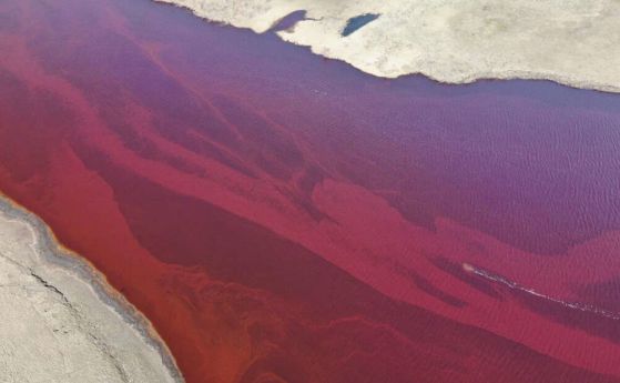 Арктическа река е залята с над 20 000 тона дизел. Обявено е извънредно положение (видео)