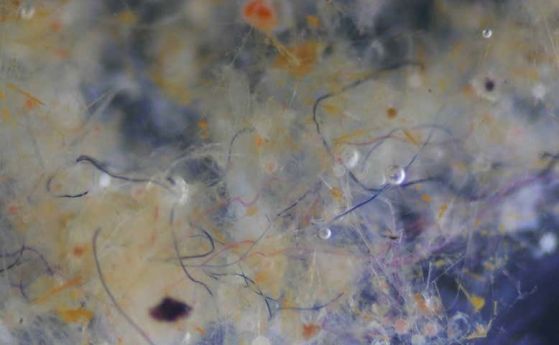 Микропластиката в океаните може да не е толкова много, колкото се опасявахме