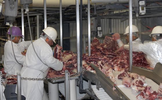 Коронавирус: Защо има толкова много огнища в месопреработвателните предприятия?