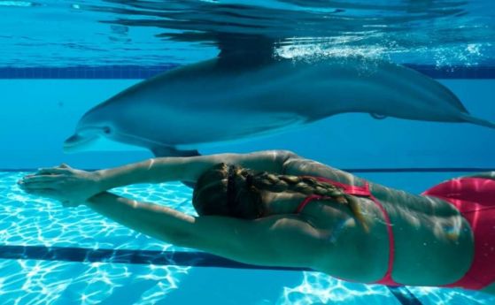 Създателите на "Волният Уили" ще заменят делфините в аквапарк с роботи (видео)