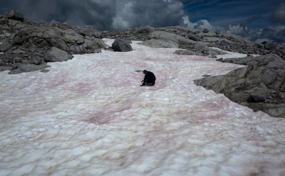 Появата на розов лед в Алпите е свързана с топенето на глетчерите