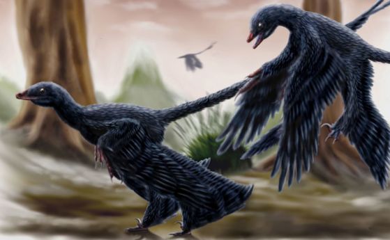 Този динозавър може би е сменял перата си като съвременните пойни птици