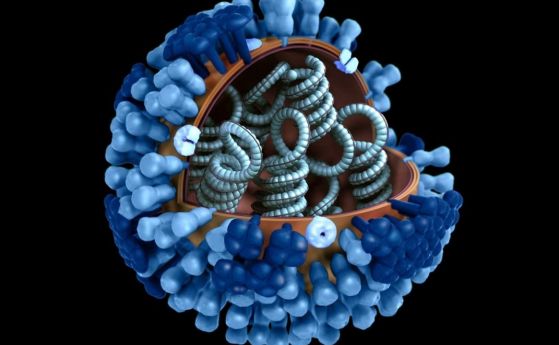 Сянката на живота: Хипотези за произхода на вирусите