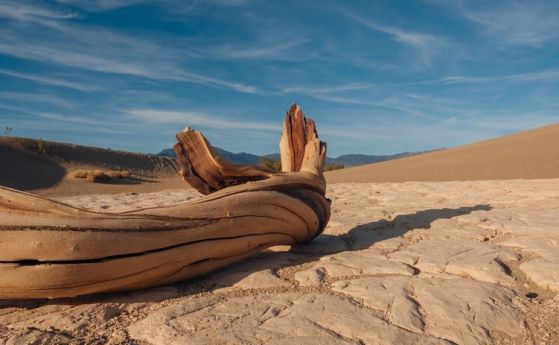 Долината на смъртта достигна нов глобален температурен рекорд (видео)