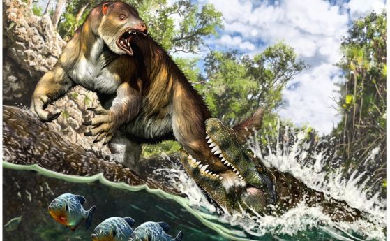 Чудовищен древен кайман оставя 46 следи от зъбите си в крака на земен ленивец