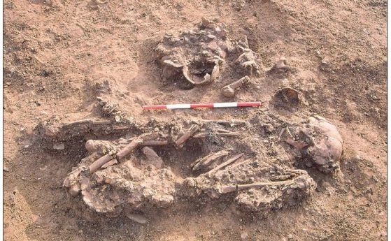Британците от бронзовата епоха съхраняват и предават костите на близките си като семейни ценности
