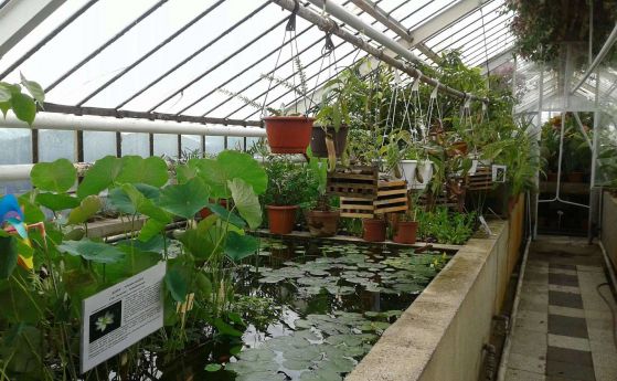 Ботаническата градина на БАН отваря врати за безплатно посещение в Деня на София
