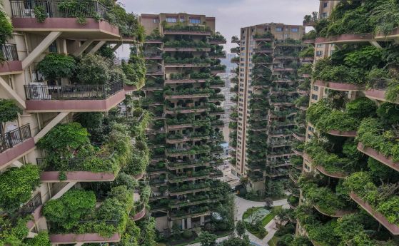 Комари превзеха китайския жилищен комплекс „вертикална гора“