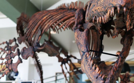 Открит е нов род динозаври с изключително силни "челюсти на смъртта"