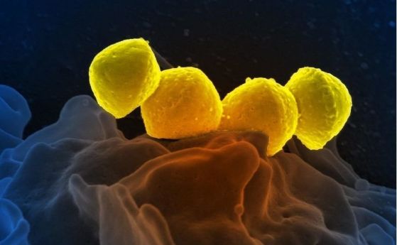 Почти ликвидирана болест се завръща заради бактериален „клонинг“