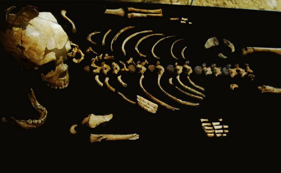 Неандерталските бебета са набити като родителите си, черта идваща още от предците им