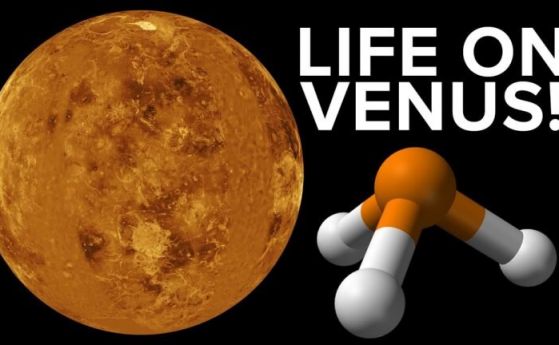 Не, в атмосферата на Венера няма следи от живот