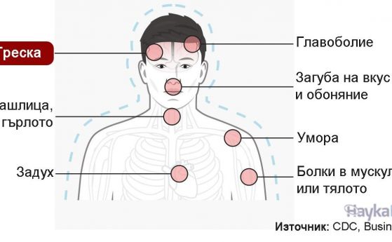 Как симптомите на COVID-19 се различават от грип, настинка и алергии в една схема