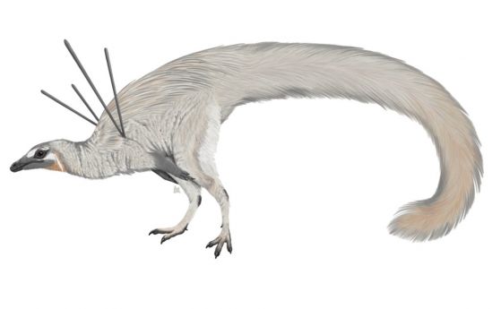 Динозавър с необичайни шипове е първият пернат месояден, открит в Южното полукълбо