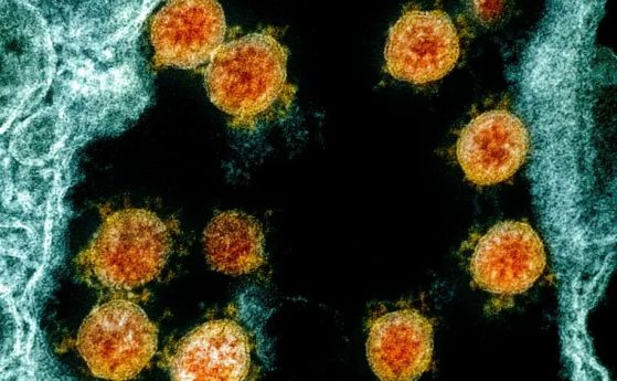 Хората без симптоми разпространяват вируса в повече от половината от случаите, установява нов модел