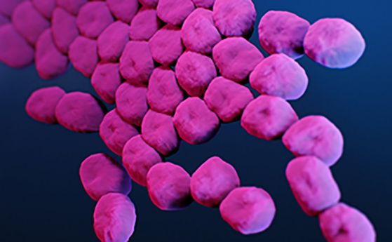 Бактериофаг може да убива една от най-опасните супербактерии