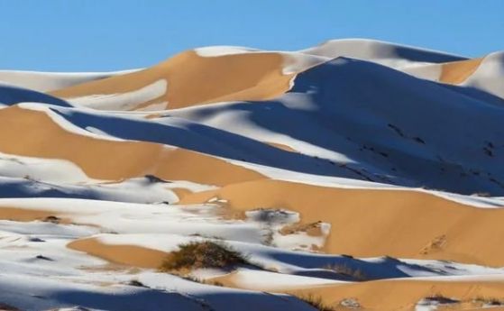 Пустинята Сахара в снежно одеяло (снимки и видео)