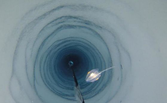 Странни същества са открити на километър под антарктическия лед (видео)