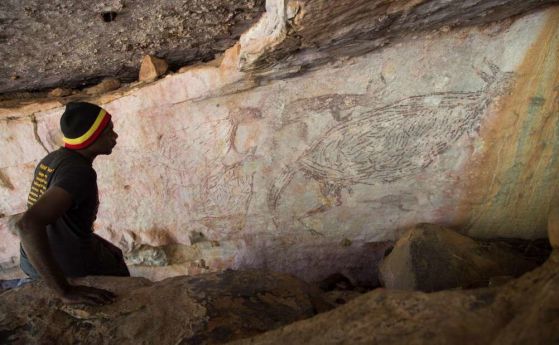 Открита е най-старата пещерна рисунка в Австралия и - познайте - това е кенгуру (видео)