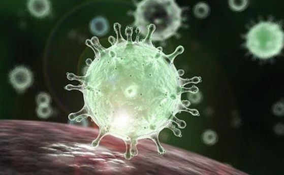Ултразвукът може да увреди коронавирусите според MIT