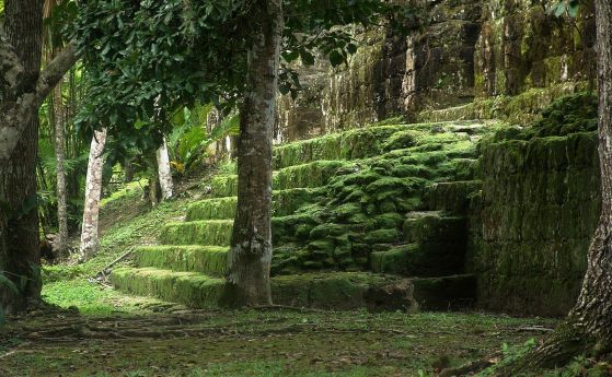 Археолози откриха скрита пирамида на маите в Тикал, подобна на тези в Теотиуакан (видео)