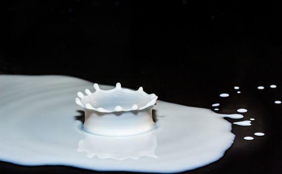 Няма връзка между млякото и повишения холестерол според ново проучване на 2 милиона души