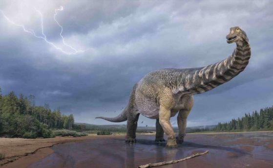 Новооткритият гигантски динозавър в Австралия е претендент за титлата най-голям в света