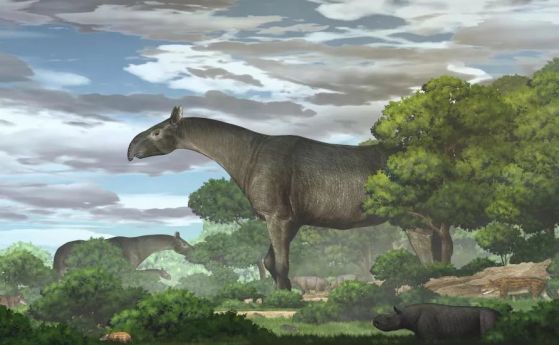 Нови изкопаеми разкриват един от най-големите бозайници, някога живели. И това е носорог