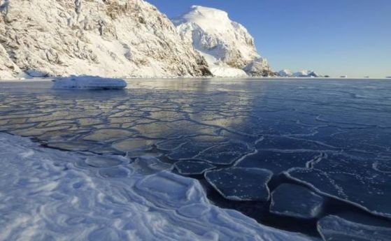 Официално потвърдена рекордна температура в Антарктида: 18.3 ° С