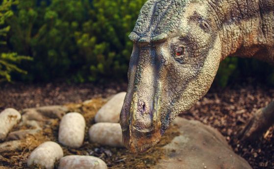 Близо 100 гнезда на титанозаври, открити в Индия, показват какви са били майките динозаври