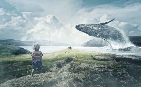 Една луда или гениална идея: Разговор между хора и китове (видео)