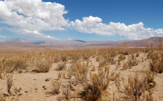 „Генетичната златна мина“ в пустинята Атакама може да е ключът към изхранването в бъдеще