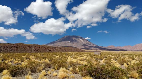 Пустинята Атакама, Северно Чили
