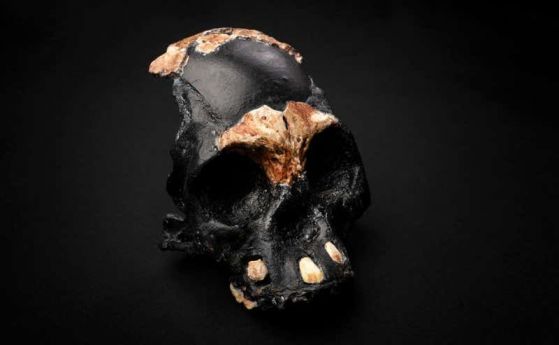 Вижте "детето на мрака": Първият череп на дете Homo naledi е намерен в пещера в Южна Африка (видео)