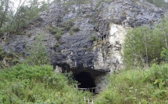 Най-старите останки от изчезнал човешки подвид са открити в Сибирска пещера