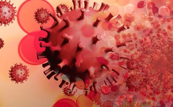 Сблъсък между COVID и ХИВ може да е причинил варианта Омикрон