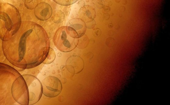 Извънземен живот? Неутрализиращи киселините форми на живот могат да направят обитаеми джобове в облаците на Венера