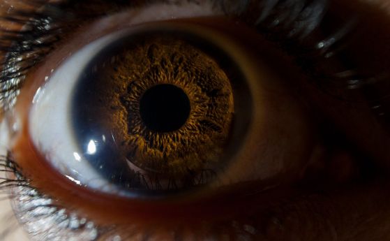 Нещо в очите ни може да покаже дали сме изложени на риск от ранна смърт, показва проучване