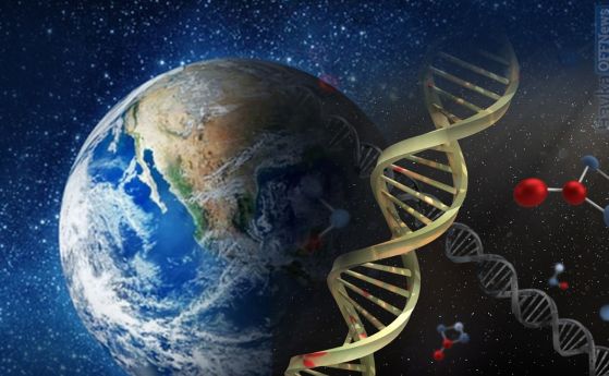 7 теории за произхода на Живота