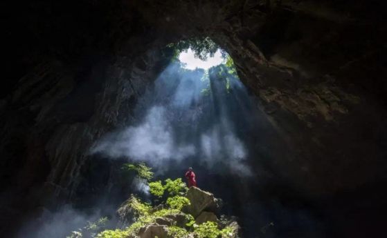 Учени откриват древна гора на дъното на гигантски понор в Китай с дървета високи 40 метра