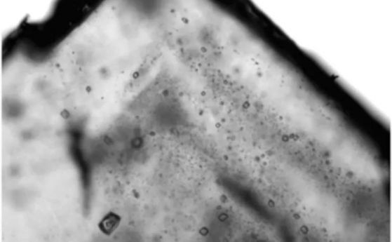 Микроорганизми на 830 милиона години са открити в древни кристали