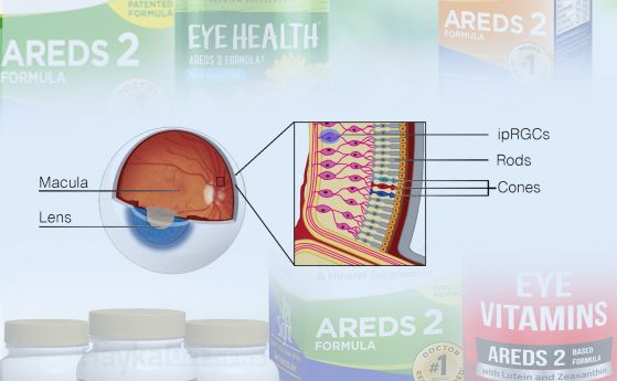 Анатомична диаграма на ретината на окото