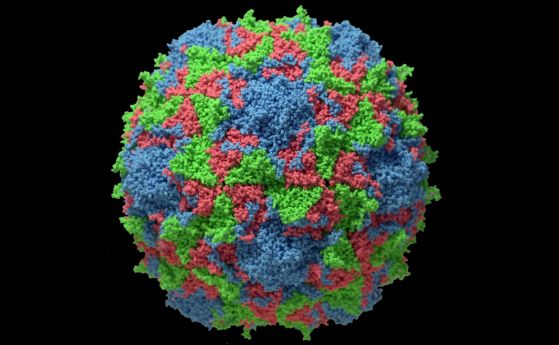 Заради открит вирус на полиомиелита във Великобритания е обявено извънредно положение