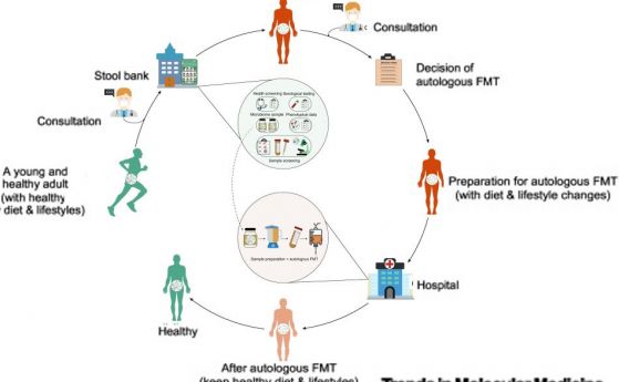 Схема на автоложна трансплантация на фекална микробиота (FMT)
