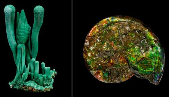 Съставни изображения на два зелени минерала: азурит и опализиран амонит